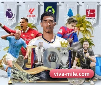 viva-mile.com APP